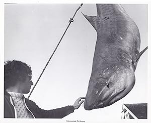 Seller image for Jaws (Original photograph of Steven Spielberg on the set of the 1975 film) for sale by Royal Books, Inc., ABAA