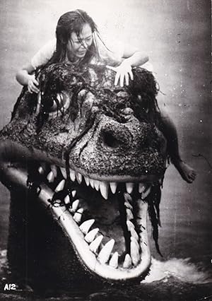 Legend of Dinosaurs and Monster Birds [Kyoryu Kaicho no Densetsu] (Original photograph from the 1...