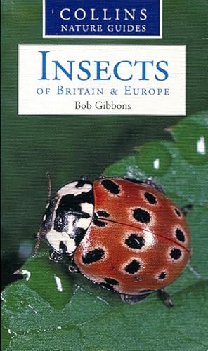 Insects of Britain & Europe