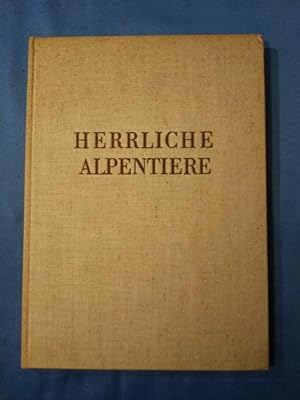 Immagine del venditore per Herrliche Alpentiere. Text u. Bild von venduto da Antiquariat BehnkeBuch