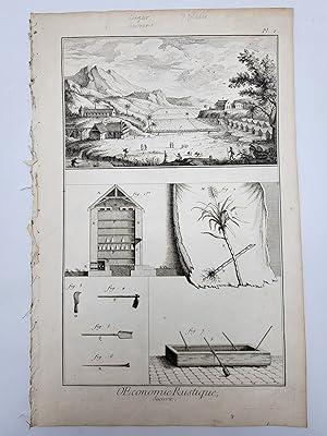 Oecomonie Rustique: Sucrerie: 7 Plates from Encyclopédie, ou, Dictionnaire raisonné des sciences,...