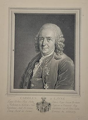 Engraved portrait of Carolus Linnaeus.