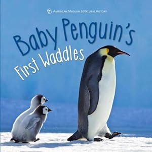 Seller image for Baby Penguin's First Waddles (First Discoveries) by Richmond, Ben [Hardcover ] for sale by booksXpress
