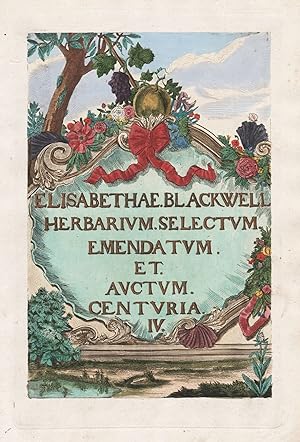 "Elisabethea Blackwell Herbarium Selectum Emendatum et Auctum Centuria IV" - Titelblatt Titel tit...