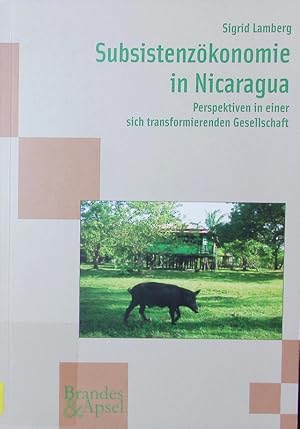 Bild des Verkufers fr Subsistenzkonomie in Nicaragua. Perspektiven in einer sich transformierenden Gesellschaft. zum Verkauf von Antiquariat Bookfarm