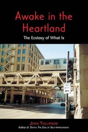 Imagen del vendedor de Awake in the Heartland: The Ecstasy of What Is [Soft Cover ] a la venta por booksXpress