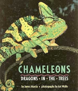 Bild des Verkufers fr Chameleons - Dragons in the trees zum Verkauf von Frank's Duplicate Books