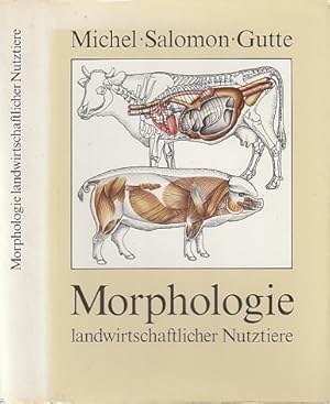 Seller image for Morphologie landwirtschaftlicher Nutztiere. for sale by Antiquariat an der Nikolaikirche