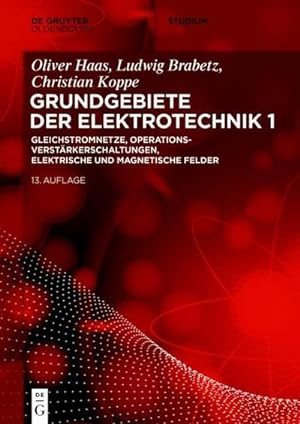 Seller image for Gleichstromnetze, Operationsverstrkerschaltungen, elektrische und magnetische Felder for sale by Rheinberg-Buch Andreas Meier eK
