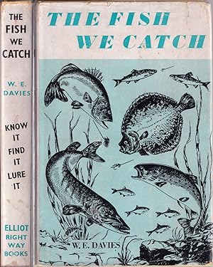 Seller image for THE FISH WE CATCH: IDENTIFICATION - HABITAT - LURES. Written and illustrated by W.E. Davies. for sale by Coch-y-Bonddu Books Ltd