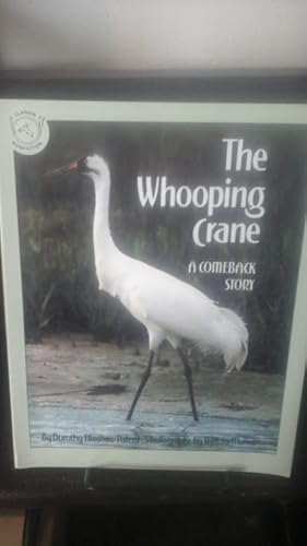 The Whooping Crane: a Comeback Story