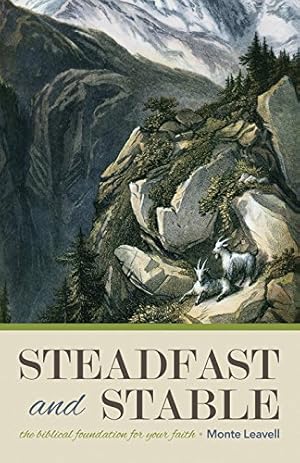 Immagine del venditore per Steadfast and Stable: The Biblical Foundation for Your Faith venduto da Reliant Bookstore