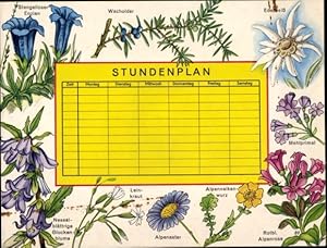 Image du vendeur pour Stundenplan Blumen und Kruter, Alpenaster, Alpennelkenwurz, Wacholder um 1950 mis en vente par akpool GmbH