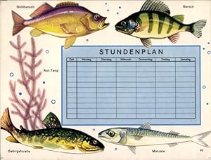 Stundenplan, Fische, Gebirgsforelle, Makrele, Barsch, Goldbarsch um 1950