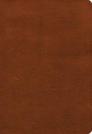 Image du vendeur pour Holy Bible : New American Standard Bible, Super Giant Print Reference Bible, Leathertouch, Burnt Sienna mis en vente par GreatBookPrices