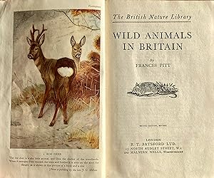 Wild animals in Britain