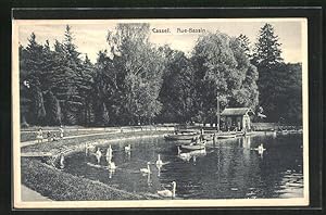 Seller image for Ansichtskarte Kassel, Kinder am Aue-Bassin, Schwne schwimmen umher for sale by Bartko-Reher