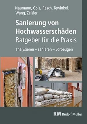 Seller image for Sanierung von Hochwasserschden - Ratgeber fr die Praxis : analysieren - sanieren - vorbeugen for sale by AHA-BUCH GmbH