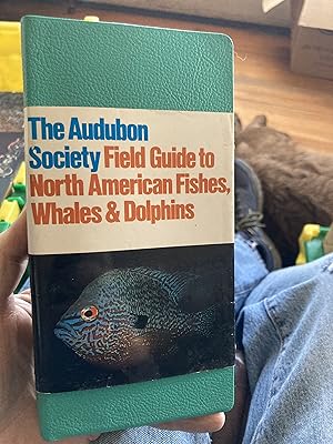 Immagine del venditore per National Audubon Society Field Guide to Fishes, Whales and Dolphins venduto da A.C. Daniel's Collectable Books