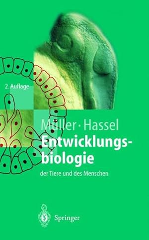 Bild des Verkufers fr Entwicklungsbiologie der Tiere und des Menschen Einfhrendes Lehrbuch der Embryologie, Entwicklungsgenetik und Entwicklungsphysiologie zum Verkauf von Berliner Bchertisch eG