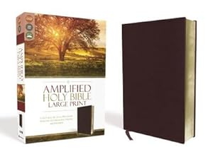 Seller image for Amplified Holy Bible, Large Print, Bonded Leather, Burgundy : Captures the Full Meaning Behind the Original Greek and Hebrew for sale by AHA-BUCH GmbH