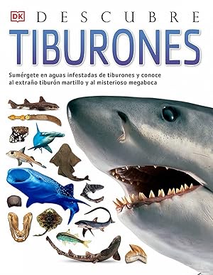 Tiburones, Descubre