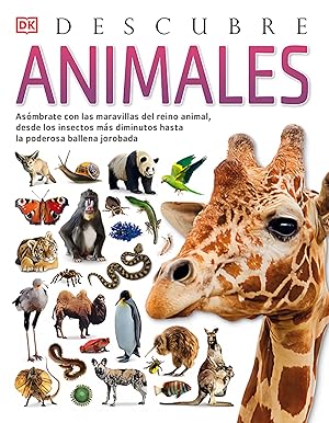 Animales, Descubre