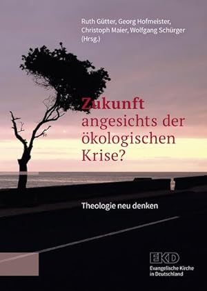 Bild des Verkufers fr Zukunft angesichts der kologischen Krise? zum Verkauf von Rheinberg-Buch Andreas Meier eK