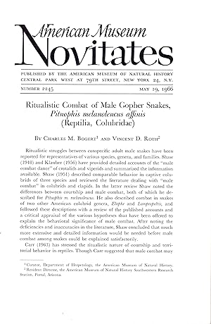 Seller image for Ritualistic combat of male gopher snakes, Pituophis melanoleucuaffinis (Reptilia, Colubridae). for sale by Frank's Duplicate Books