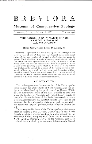 Seller image for The Carolina Salt Marsh snake: A distinct form of Natrix sipedon. for sale by Frank's Duplicate Books