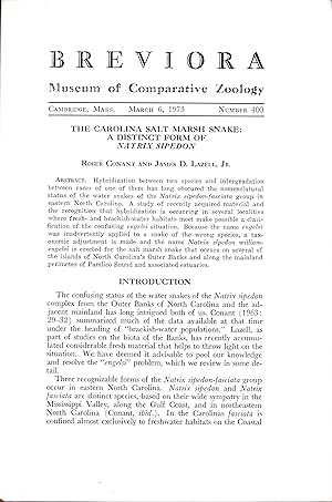 Bild des Verkufers fr The Carolina Salt Marsh snake: A distinct form of Natrix sipedon. zum Verkauf von Frank's Duplicate Books