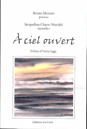 Image du vendeur pour A ciel ouvert - Bruno Mercier mis en vente par Book Hmisphres