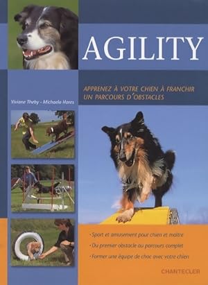 Seller image for Agility - Viviane Theby for sale by Book Hmisphres