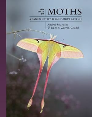 Seller image for The Lives of Moths: A Natural History of Our Planet's Moth Life by Sourakov, Andrei, Chadd, Rachel Warren [Hardcover ] for sale by booksXpress