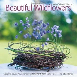 Image du vendeur pour Beautiful Wildflowers mis en vente par WeBuyBooks