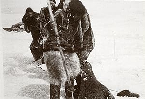 "NANOUK L'ESQUIMAU" Réalisé par Robert J. FLAHERTY en 1922 avec NANOUK et sa famille / Diapositiv...