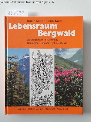 Lebensraum Bergwald: Alpenpflanzen in Bergwald, Baumgrenze und Zwergstrauchheide. Vegetationsökol...