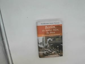 Seller image for Berlin, du bunter Stein, du Biest. Biografische Erkundungen for sale by Das Buchregal GmbH