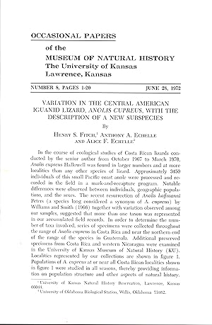 Imagen del vendedor de Variation in the Central American Iguanid lizard, Anolis cupreus, with the description of a new species. a la venta por Frank's Duplicate Books