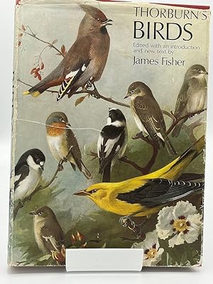 Imagen del vendedor de Thorburn's Birds a la venta por Fieldfare Bird and Natural History Books