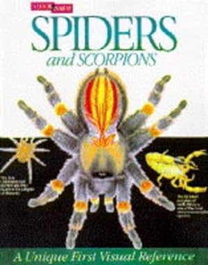 Bild des Verkufers fr Spiders and Scorpions (Look Inside) zum Verkauf von WeBuyBooks