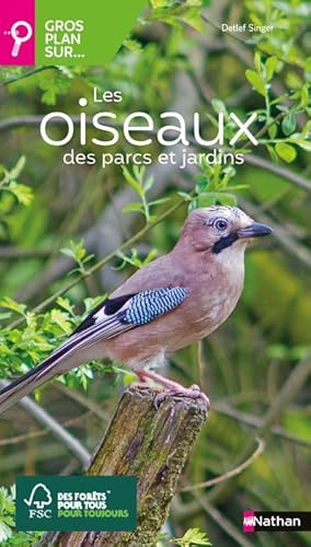 gros plan sur : les oiseaux des parcs et jardins