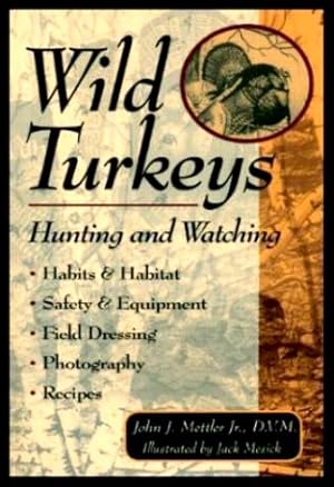 WILD TURKEYS - Hunting and Watching