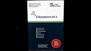 Strafrecht BT II: Wissen - Fälle - Klausurhinweise (Skript - Grundfall - Klausurfall / Für die Kl...