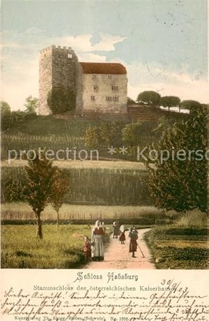 Postkarte Carte Postale 13798827 Habsburg Schloss AG Schloss Habsburg Stammschloss des oesterreic...