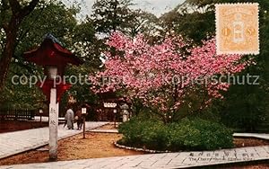 Postkarte Carte Postale 73804481 Kyoto Japan The Cherry Shrine Hirano