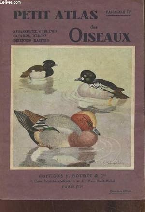 Bild des Verkufers fr Petit atlas des oiseaux IV: bcasseaux, golands, canards, hrons, impennes, ratites zum Verkauf von Le-Livre