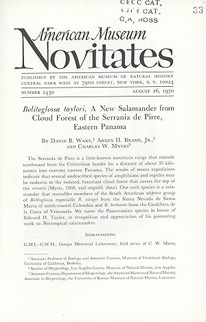 Seller image for Bolitoglossa taylori, a new salamander from cloud forest of the Serrania de Pirre, Eastern Panama. for sale by Frank's Duplicate Books