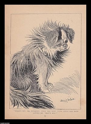 Bild des Verkufers fr Louis Wain - A dog, probably a KCS - printed in 1915. An original uncoloured print by the foremost cat illustrator of the early 20th century, featuring one of his less common non-cat drawings. zum Verkauf von Cosmo Books