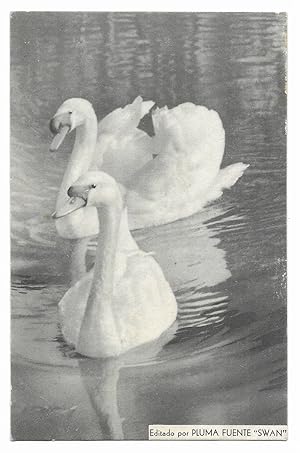 Postal. Publicitaria Pluma Fuente SWAN